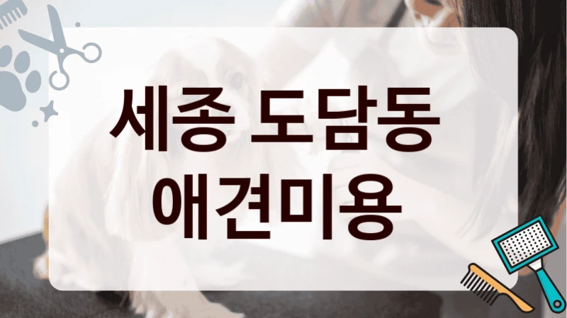 세종 도담동  애견미용