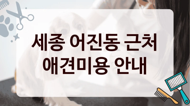 세종 어진동 근처 애견미용 안내