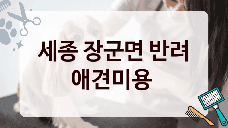 세종 장군면 반려 애견미용