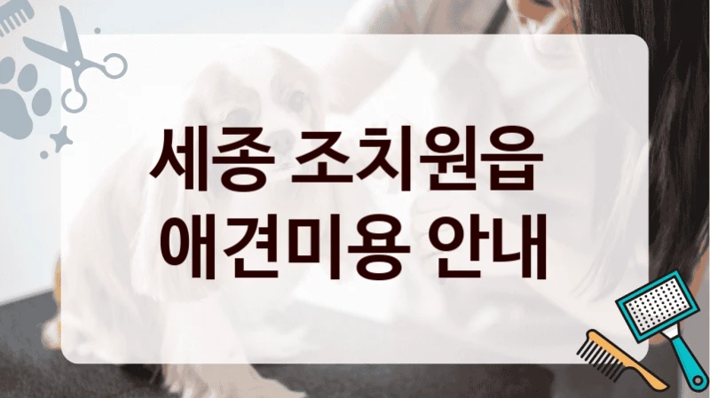세종 조치원읍  애견미용 안내