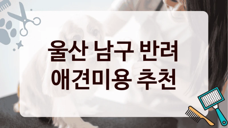 울산 남구 반려 애견미용 추천
