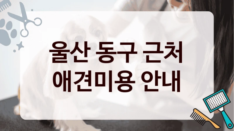 울산 동구 근처 애견미용 안내