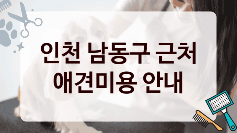 인천 남동구 근처 애견미용 안내