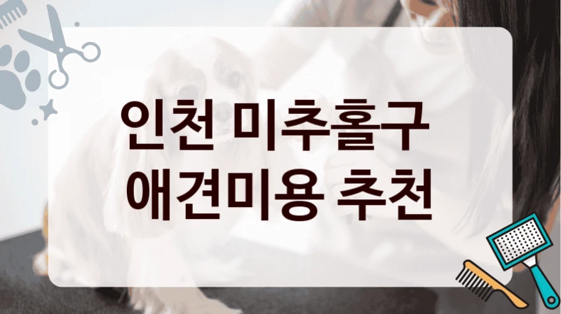 인천 미추홀구  애견미용 추천