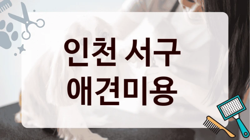 인천 서구  애견미용