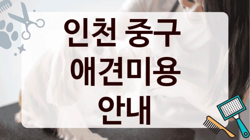 인천 중구  애견미용 안내