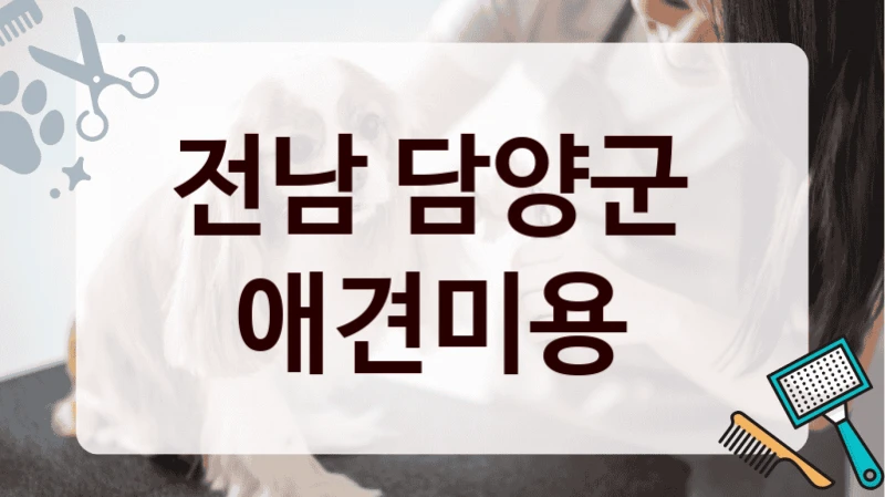 전남 담양군  애견미용