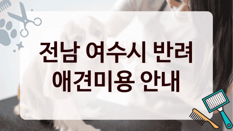 전남 여수시 반려 애견미용 안내