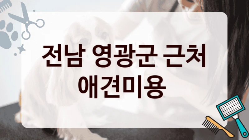 전남 영광군 근처 애견미용