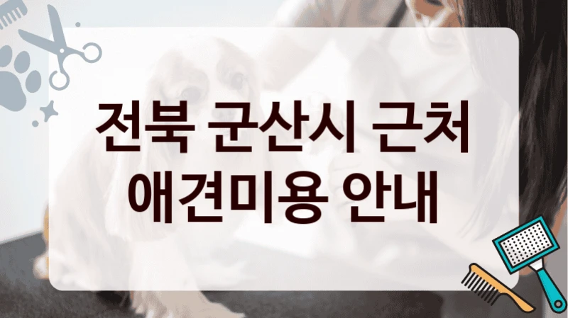 전북 군산시 근처 애견미용 안내