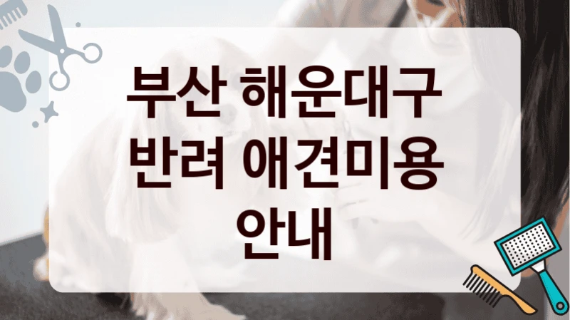 부산 해운대구 반려 애견미용 안내