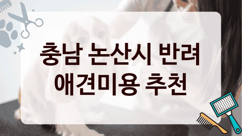 충남 논산시 반려 애견미용 추천