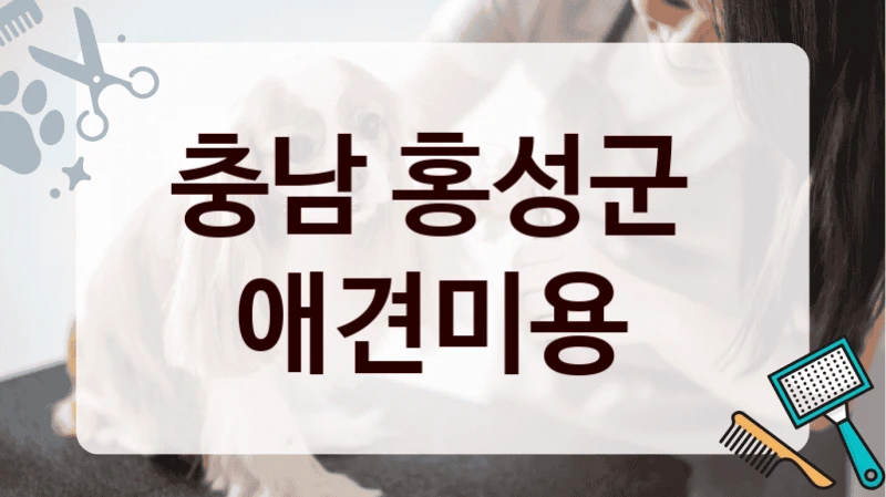 충남 홍성군  애견미용
