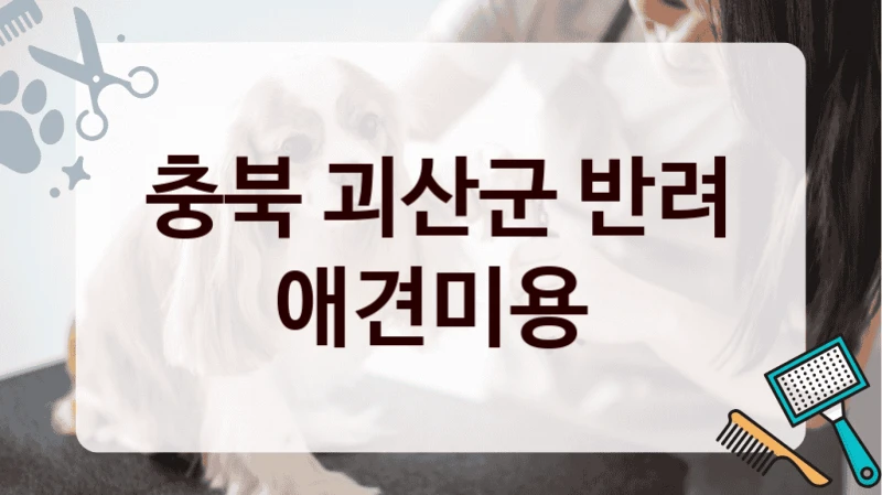 충북 괴산군 반려 애견미용