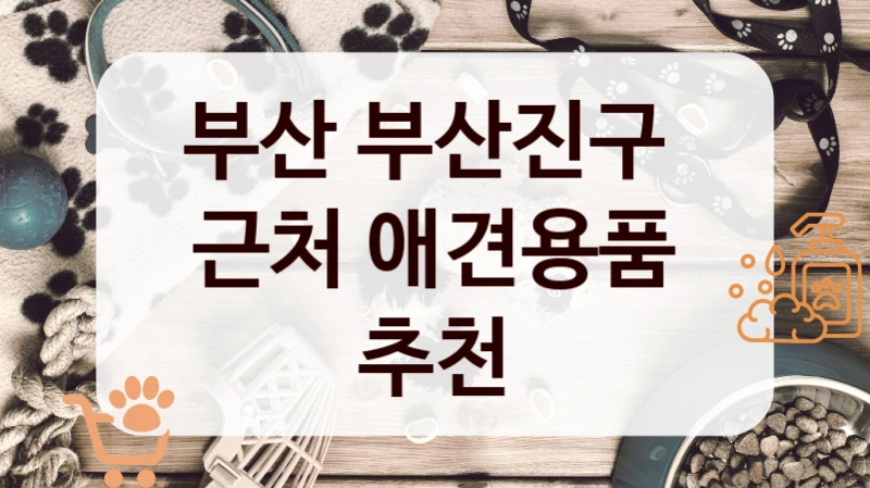 부산 부산진구 
근처 애견용품 추천