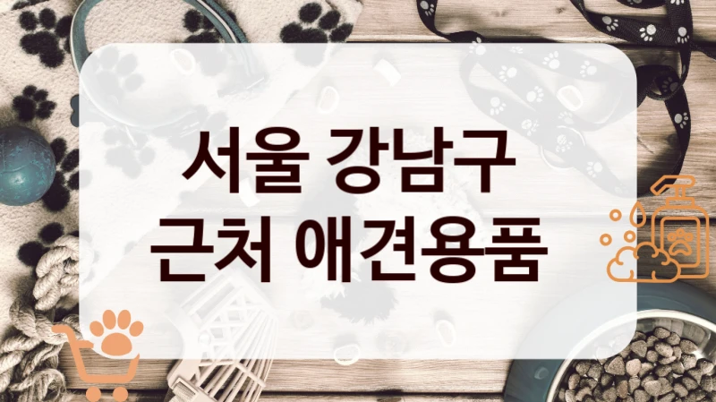 서울 강남구
근처 애견용품