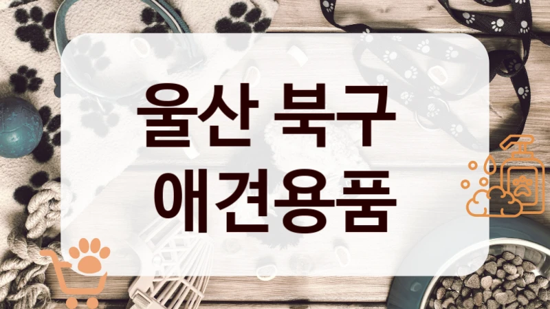 울산 북구 
 애견용품