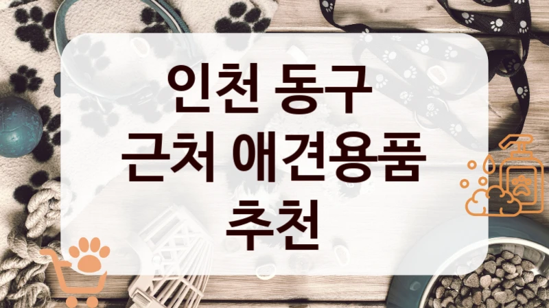 인천 동구 
근처 애견용품 추천