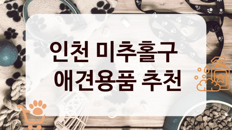 인천 미추홀구 
 애견용품 추천