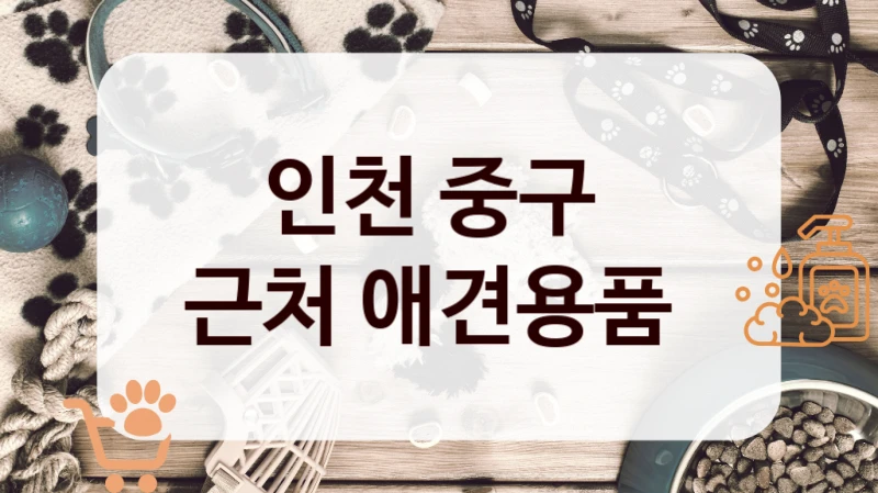 인천 중구 
근처 애견용품