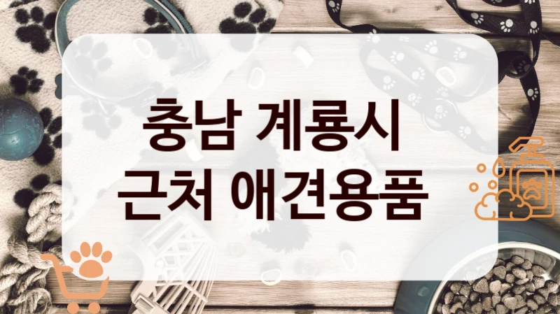충남 계룡시 
근처 애견용품