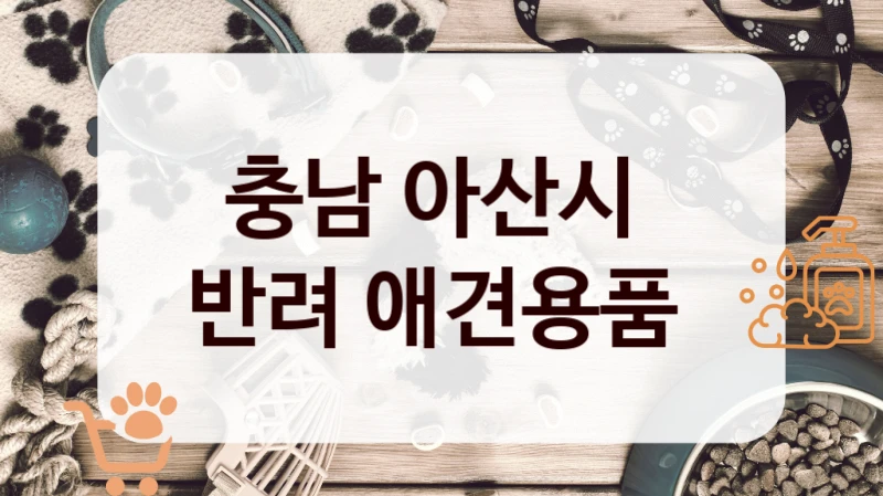 충남 아산시 
반려 애견용품