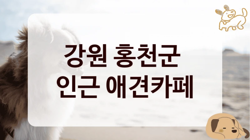 강원 홍천군 
인근 애견카페
