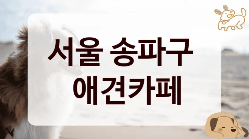 서울 송파구 
 애견카페