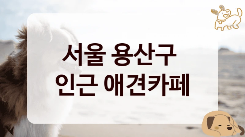 서울 용산구 
인근 애견카페