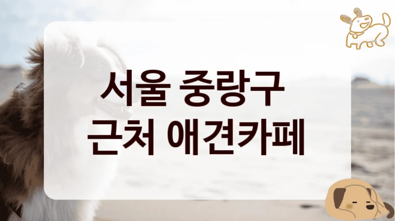 서울 중랑구 
근처 애견카페