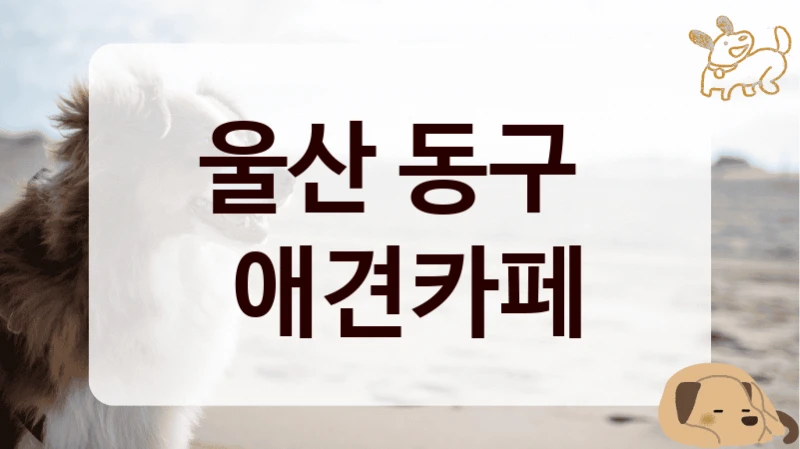 울산 동구 
 애견카페