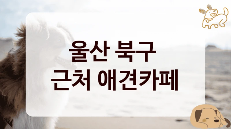 울산 북구 
근처 애견카페