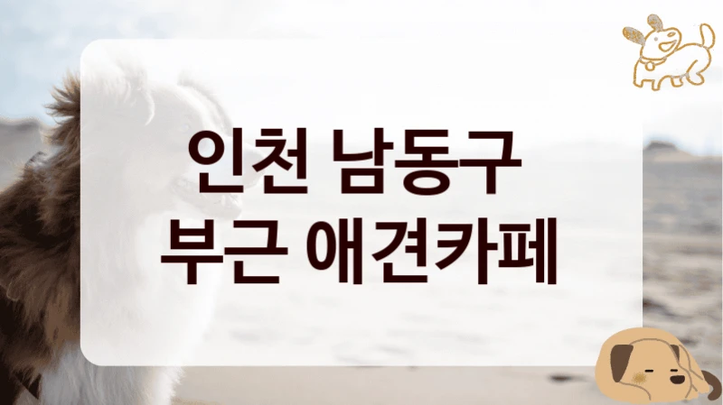 인천 남동구 
부근 애견카페