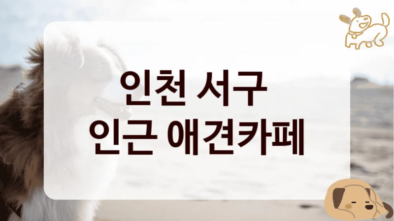 인천 서구 
인근 애견카페