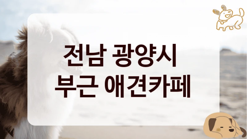 전남 광양시 
부근 애견카페