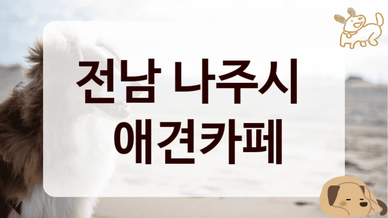 전남 나주시 
 애견카페