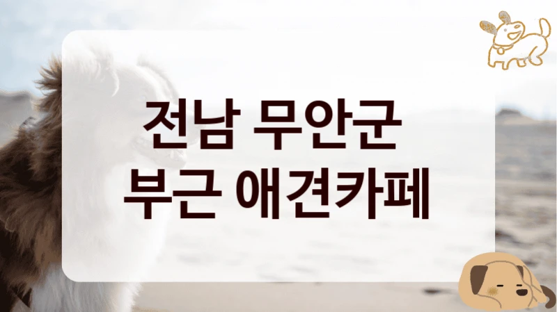 전남 무안군 
부근 애견카페