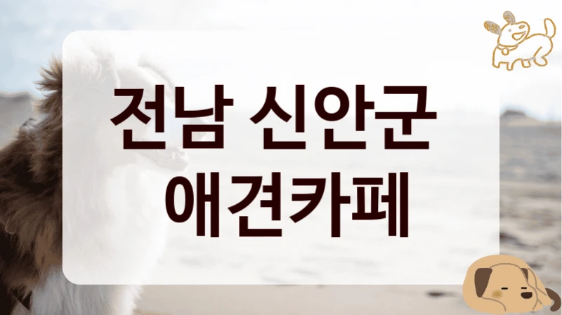 전남 신안군 
 애견카페