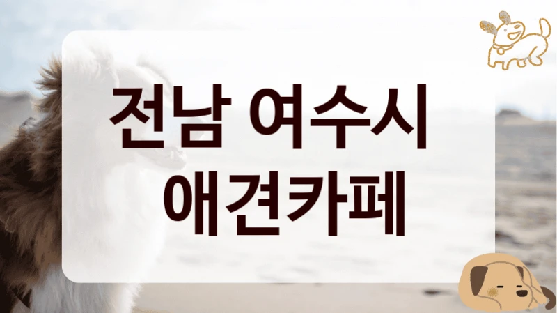 전남 여수시 
 애견카페