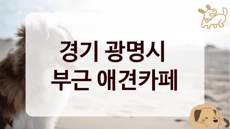 경기 광명시 
부근 애견카페