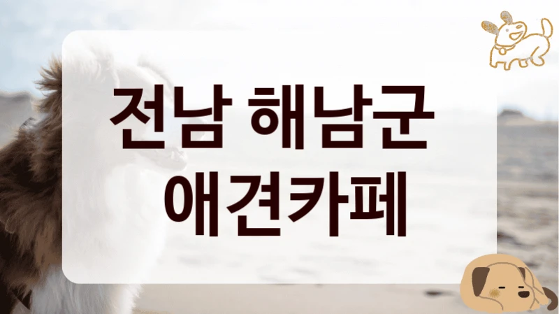전남 해남군 
 애견카페