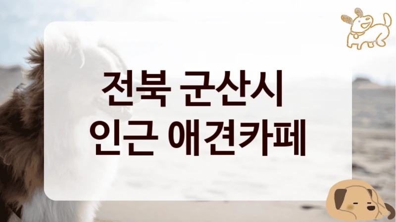 전북 군산시 
인근 애견카페