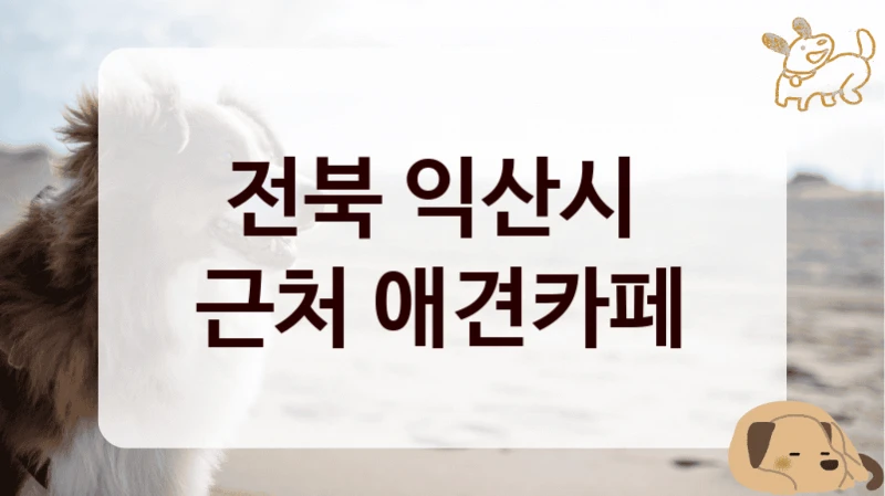 전북 익산시 
근처 애견카페