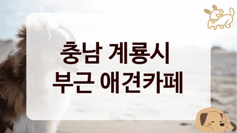 충남 계룡시 
부근 애견카페