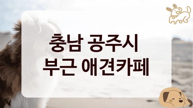 충남 공주시 
부근 애견카페