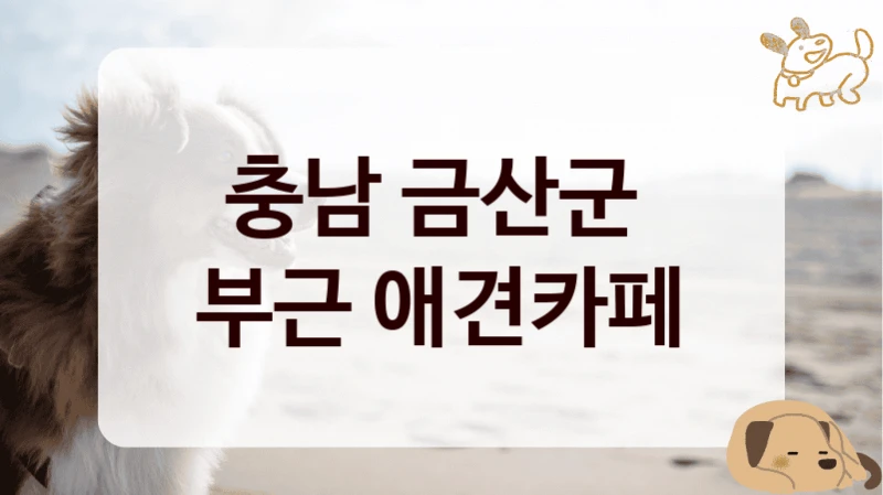 충남 금산군 
부근 애견카페