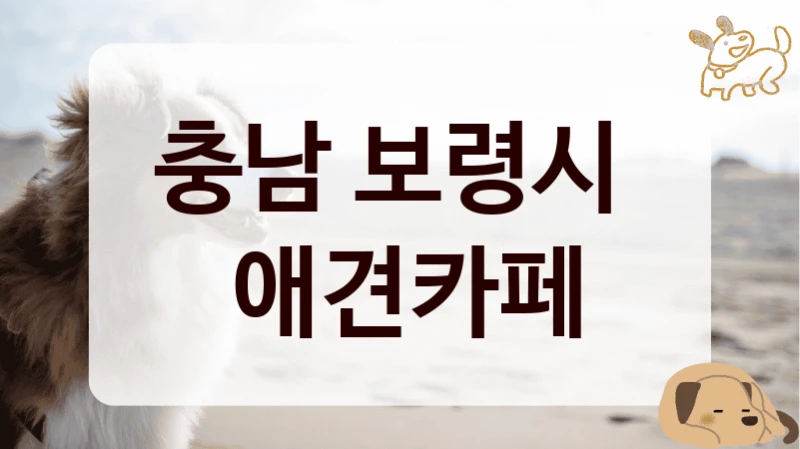 충남 보령시 
 애견카페