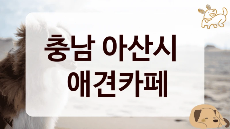 충남 아산시 
 애견카페