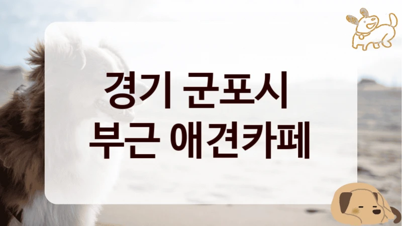 경기 군포시 
부근 애견카페