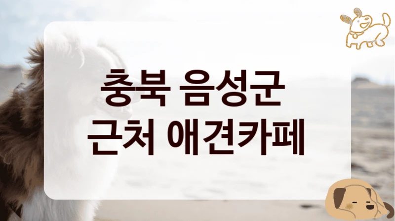 충북 음성군 
근처 애견카페